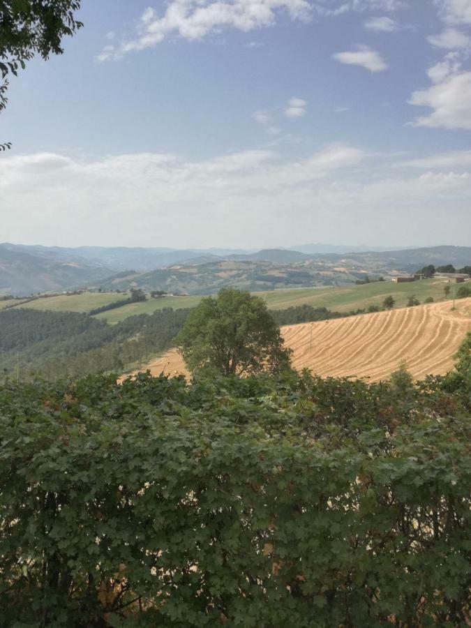 La Furbera B&B Marano sul Panaro Luaran gambar